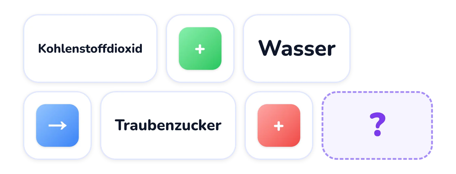Eine Wortgleichung aus Kacheln: Kohlenstoffdioxid plus Wasser in der oberen Reihe, dann ein Pfeil, Traubenzucker, plus und eine Lücke in der unteren Reihe.